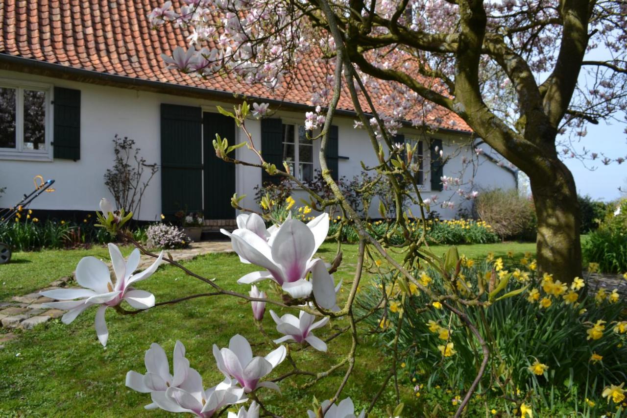La Longere D'Ecottes Bed and Breakfast Licques Exteriör bild